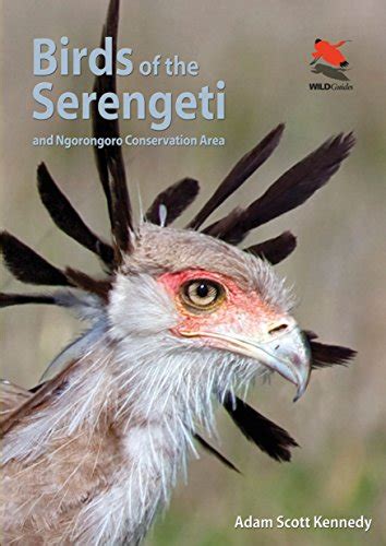 birds of the serengeti and ngorongoro conservation area wildguides Reader